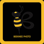 Bee Photos for Windows Phone – Manage Facebook photos on Windows Phone …